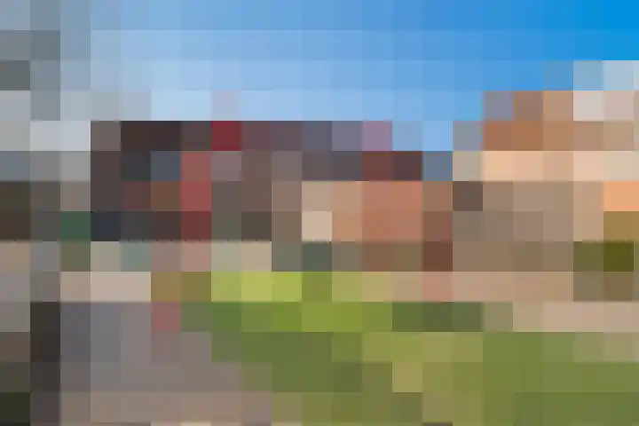 Larixdreef 6 Bleiswijk thumbnail 31