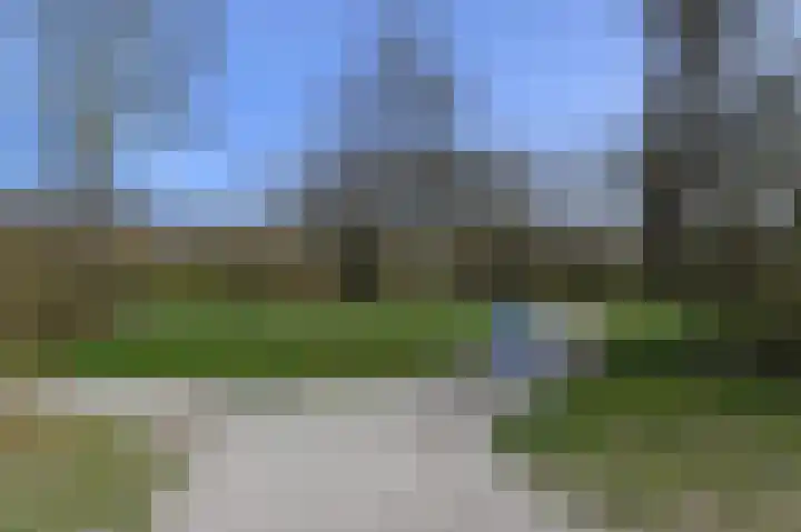 Larixdreef 6 Bleiswijk thumbnail 35
