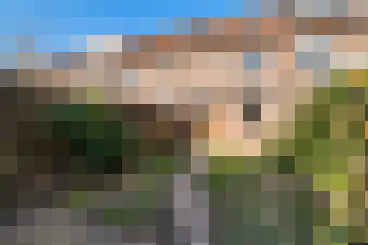 Larixdreef 6 Bleiswijk thumbnail 4