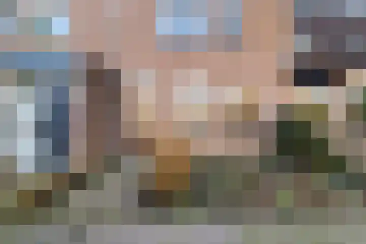 Larixdreef 6 Bleiswijk thumbnail 7