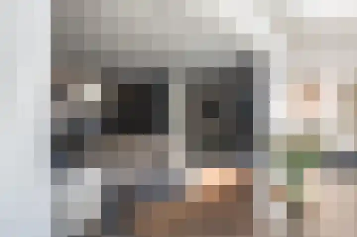 Larixhof 12 Dieren thumbnail 10
