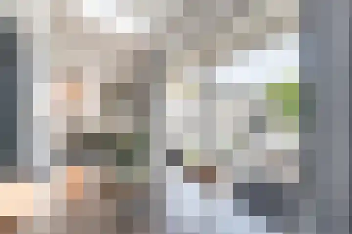 Larixhof 12 Dieren thumbnail 11