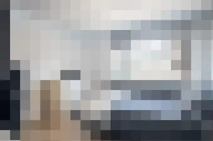 Larixhof 12 Dieren thumbnail 19