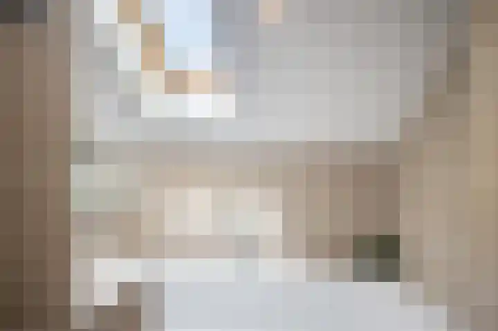 Larixhof 12 Dieren thumbnail 24