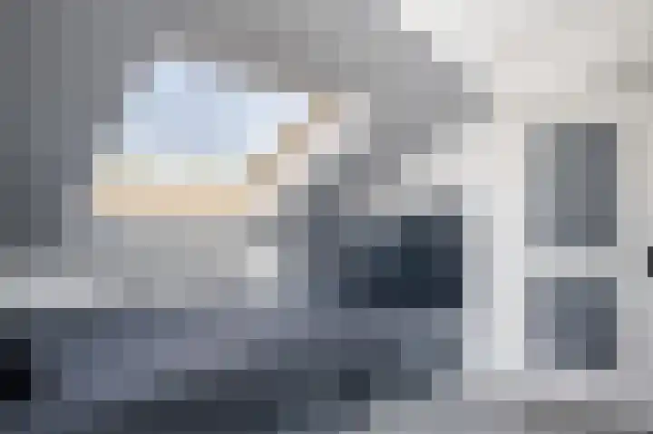Larixhof 12 Dieren thumbnail 28