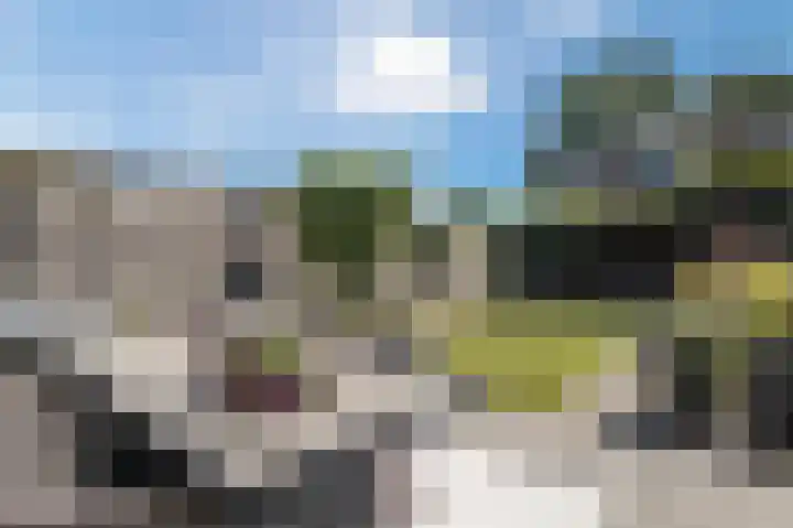 Larixhof 12 Dieren thumbnail 34
