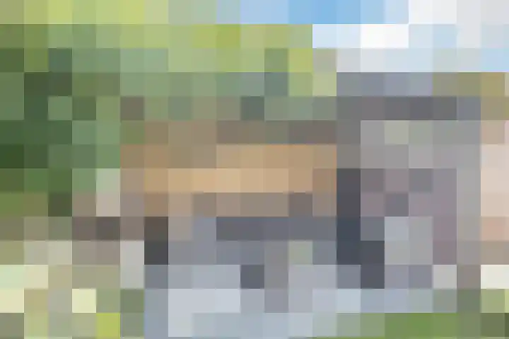 Larixhof 12 Dieren thumbnail 6