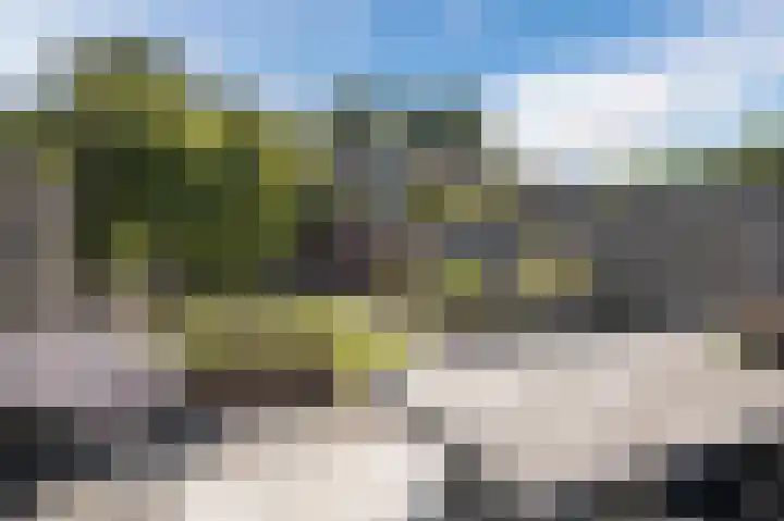 Larixhof 12 Dieren thumbnail 7