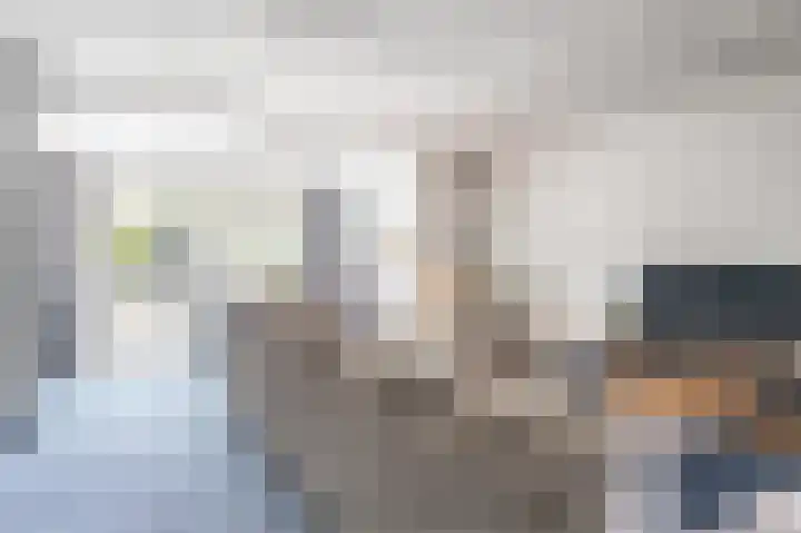 Larixhof 12 Dieren thumbnail 8