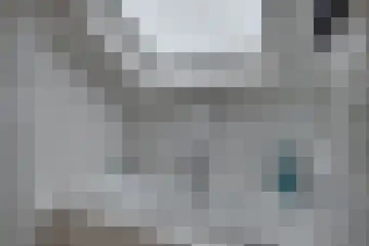 Larixhof 3 Dieren thumbnail 16