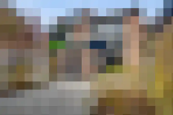 Larixhof 3 Dieren thumbnail 22