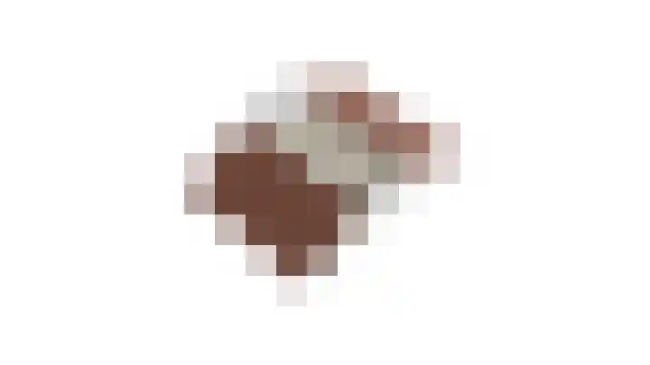 Larixhof 3 Dieren thumbnail 37
