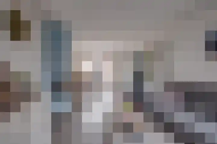 Larixhof 3 Dieren thumbnail 6