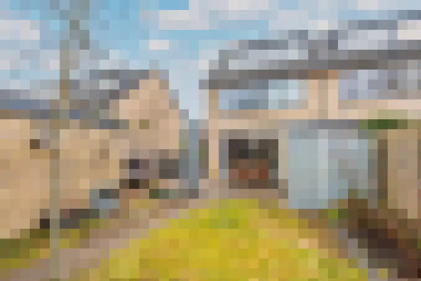 Larixlaan 11 Driebergen-Rijsenburg thumbnail 30