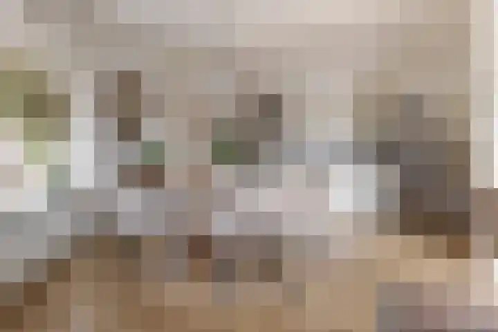 Larixlaan 14 Roden thumbnail 16