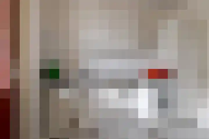 Larixlaan 14 Roden thumbnail 19