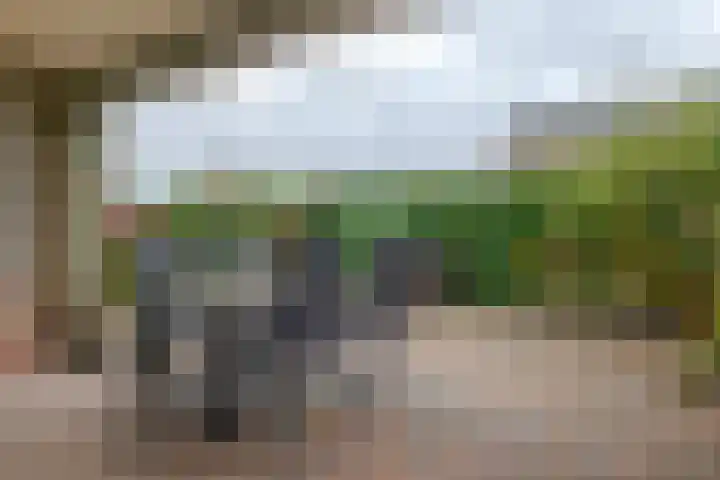 Larixlaan 14 Roden thumbnail 24