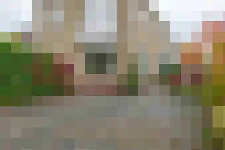 Larixlaan 14 Roden thumbnail 27