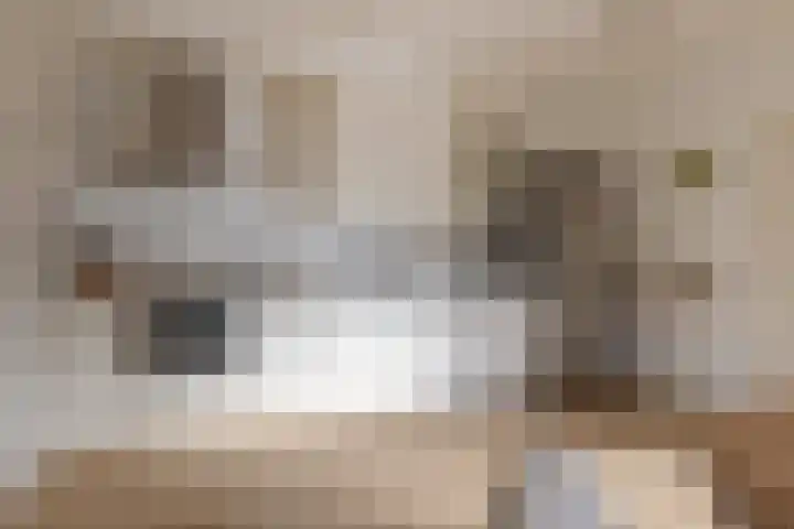 Larixlaan 14 Roden thumbnail 4