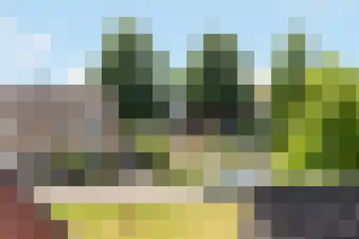 Larixlaan 15 Nijkerk thumbnail 25