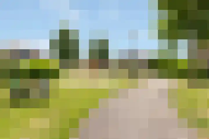 Larixlaan 15 Nijkerk thumbnail 30