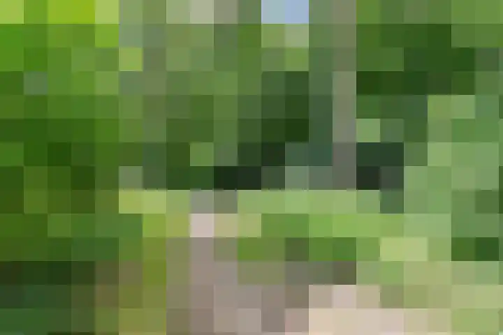 Larixlaan 15 Nijkerk thumbnail 31