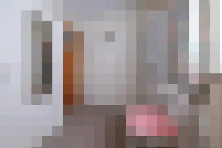 Larixlaan 16 Roden thumbnail 24