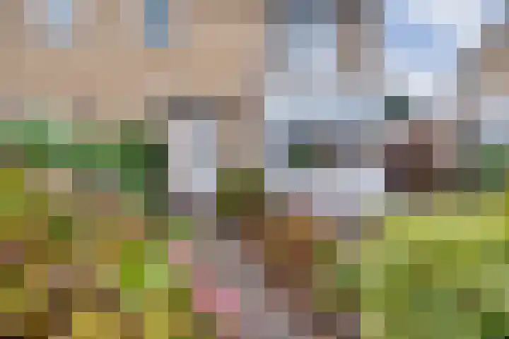 Larixlaan 16 Roden thumbnail 27