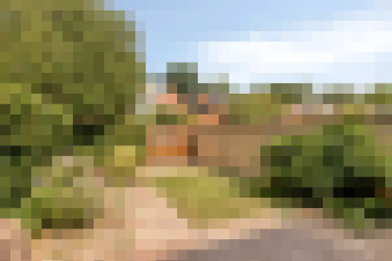 Larixlaan 17 Driebergen-Rijsenburg thumbnail 22