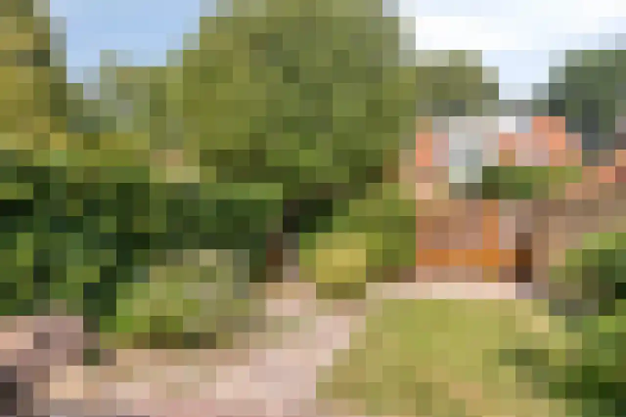 Larixlaan 17 Driebergen-Rijsenburg thumbnail 23