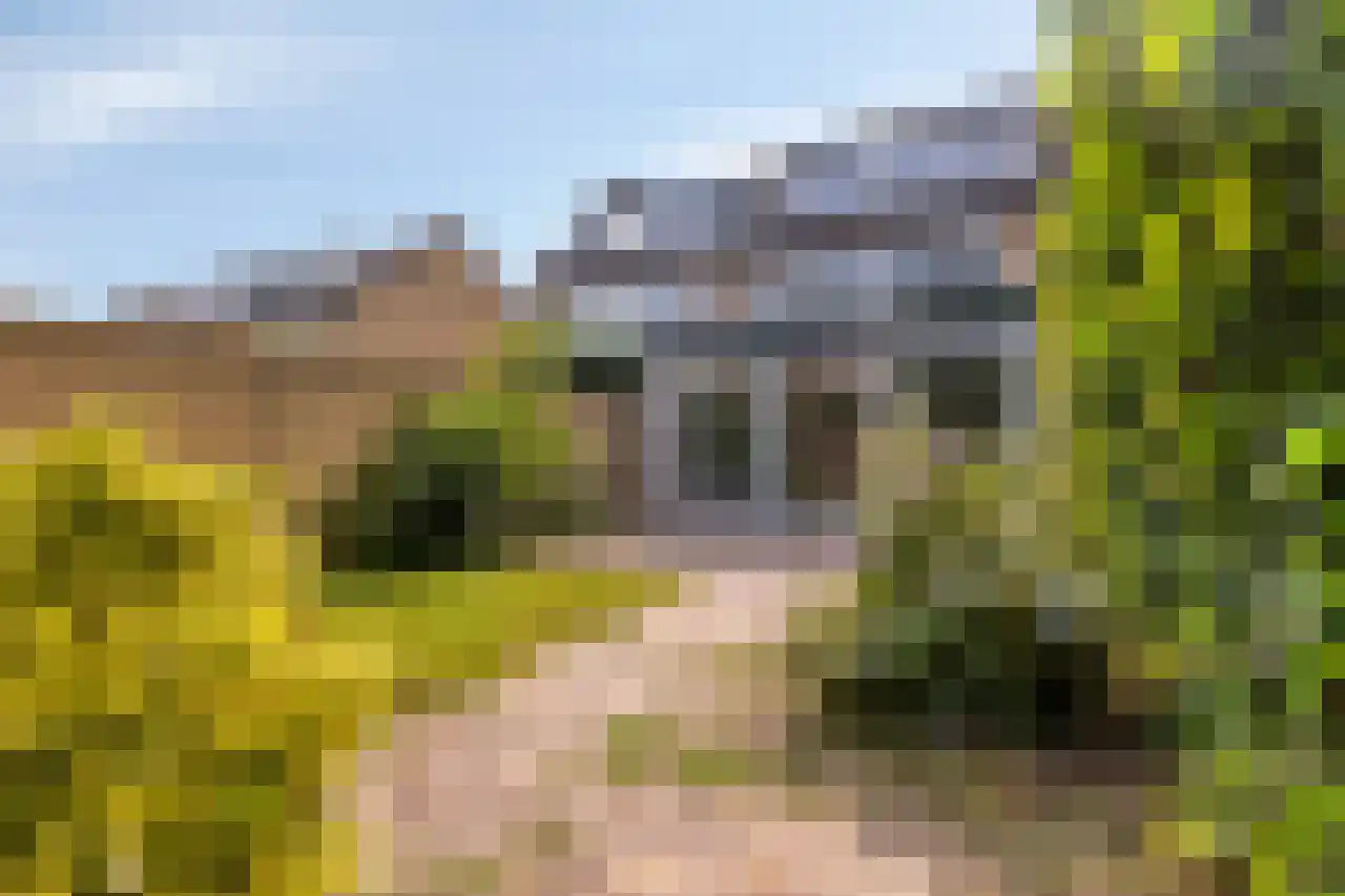 Larixlaan 17 Driebergen-Rijsenburg thumbnail 24