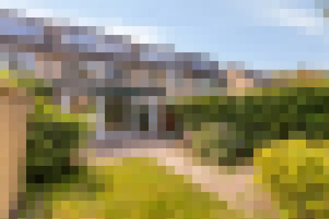 Larixlaan 17 Driebergen-Rijsenburg thumbnail 25