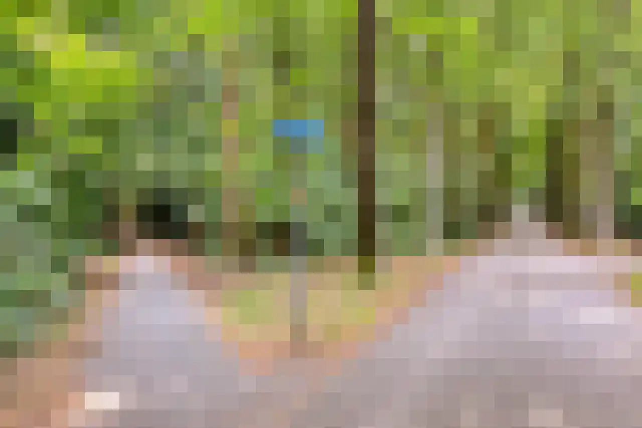 Larixlaan 17 Driebergen-Rijsenburg thumbnail 39