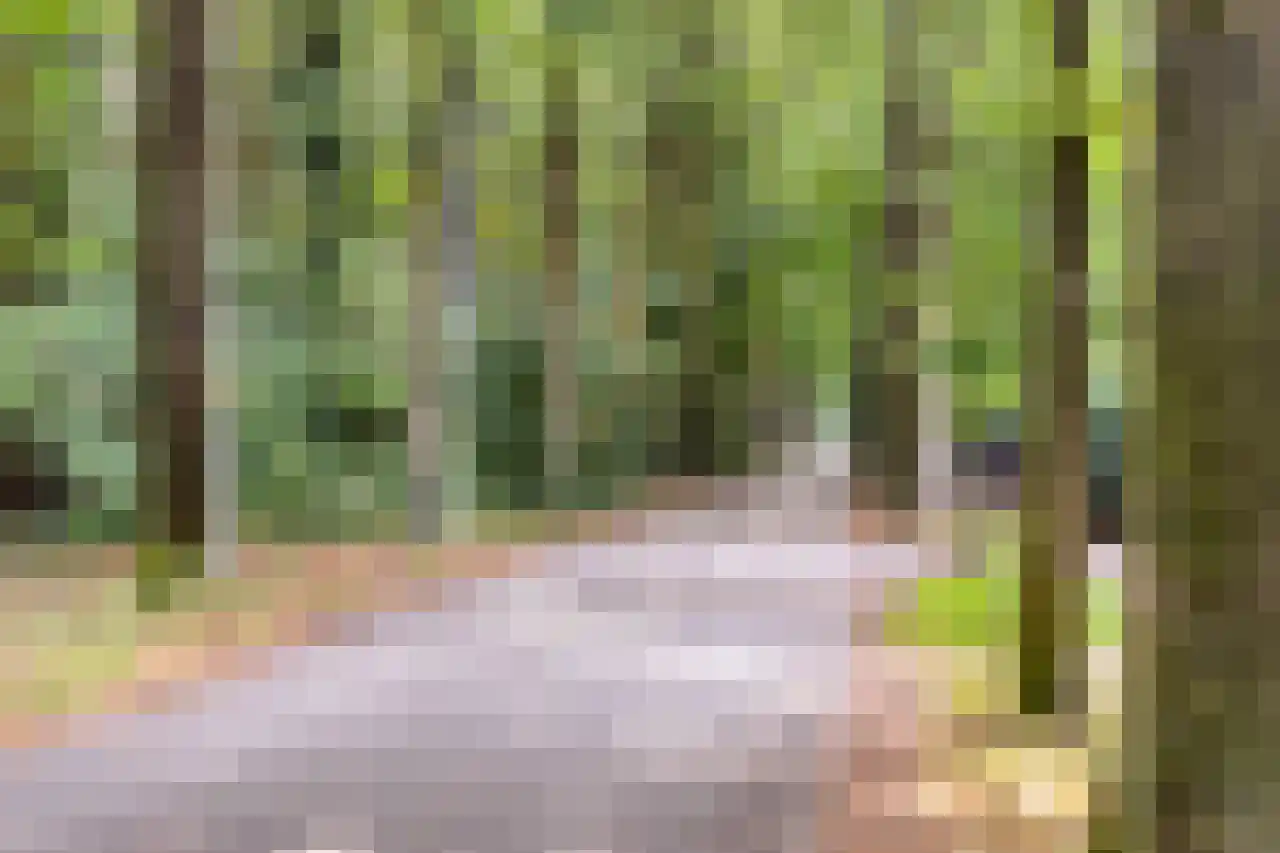 Larixlaan 17 Driebergen-Rijsenburg thumbnail 40