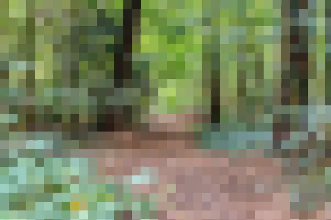 Larixlaan 17 Driebergen-Rijsenburg thumbnail 41