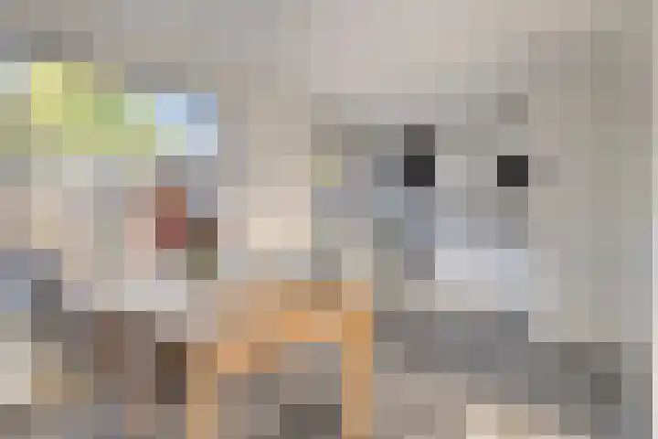 Larixlaan 18 Roden thumbnail 11