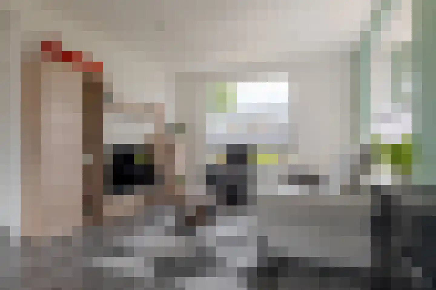 Larixlaan 18 Roden thumbnail 17