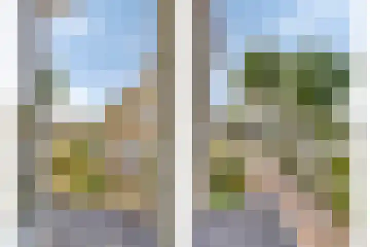 Larixlaan 18 Roden thumbnail 24