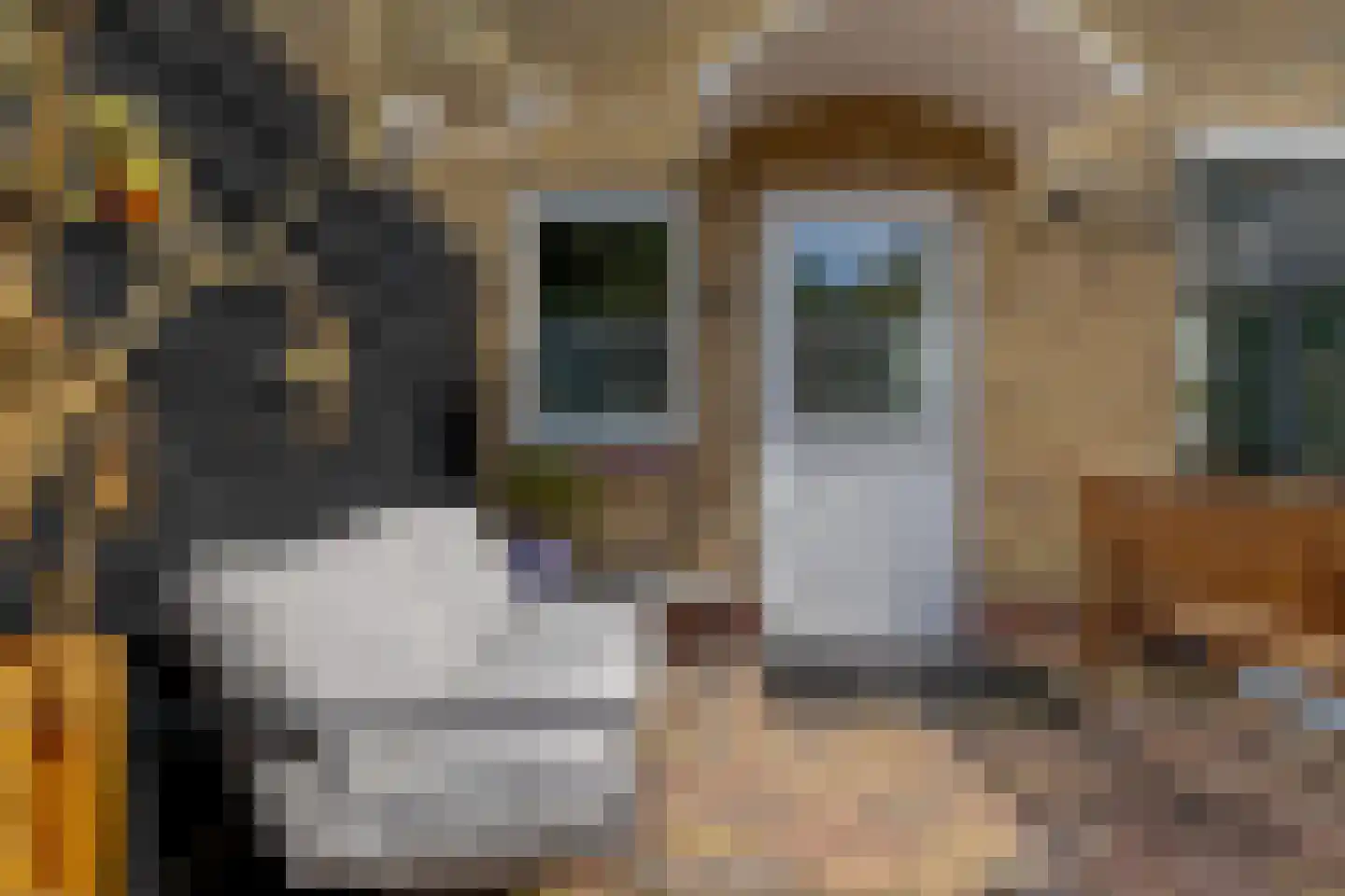 Larixlaan 18 Roden thumbnail 24