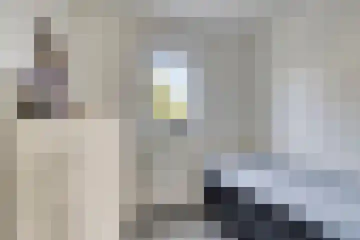 Larixlaan 18 Roden thumbnail 27