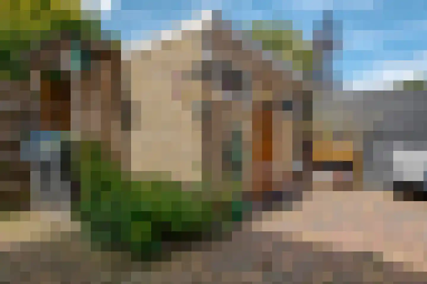 Larixlaan 18 Roden thumbnail 28