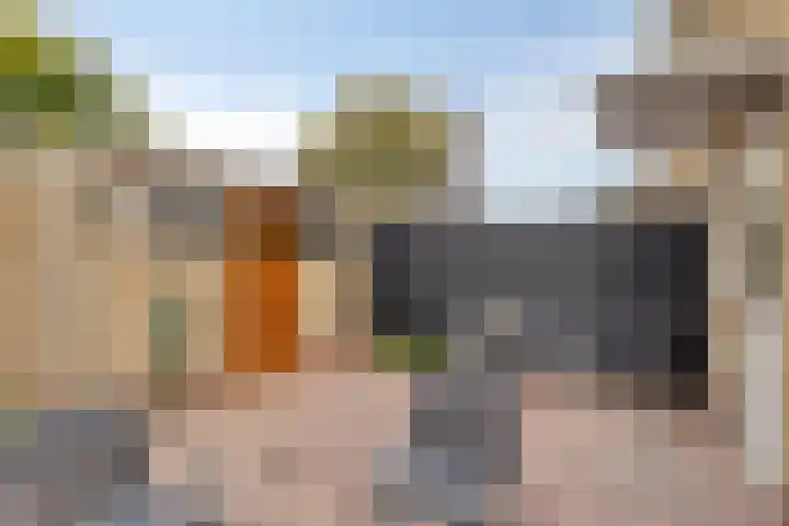 Larixlaan 18 Roden thumbnail 33