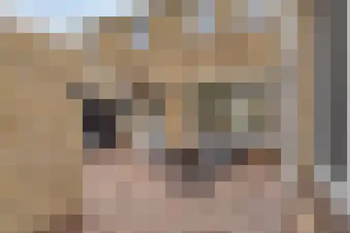 Larixlaan 18 Roden thumbnail 35