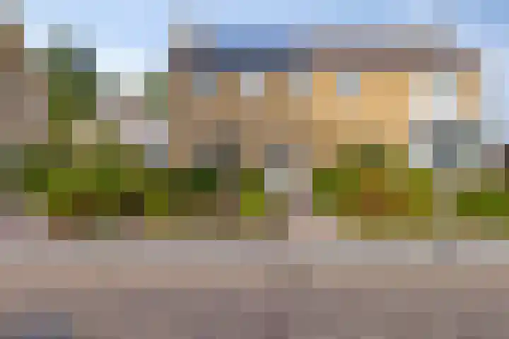 Larixlaan 18 Roden thumbnail 37