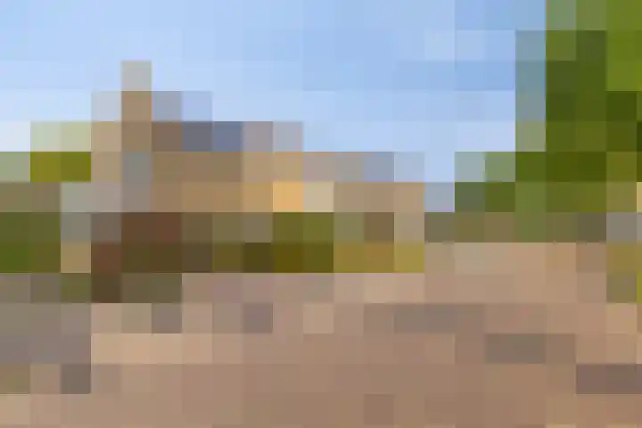 Larixlaan 18 Roden thumbnail 38