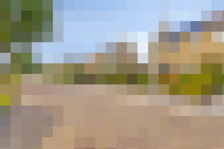 Larixlaan 18 Roden thumbnail 39