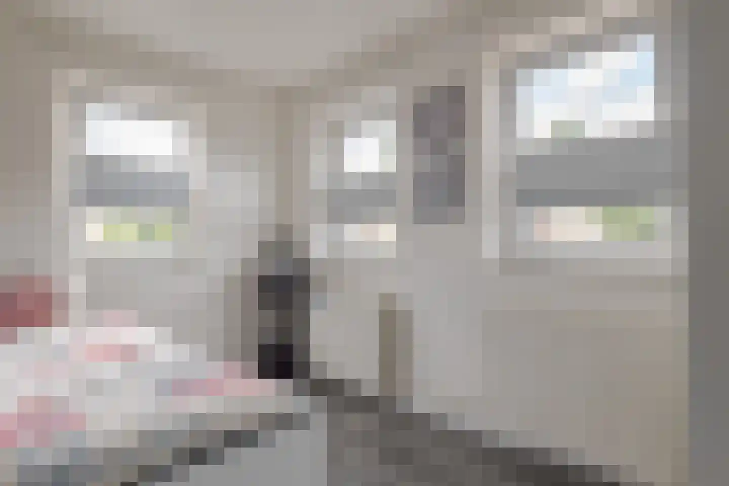 Larixlaan 18 Roden thumbnail 43
