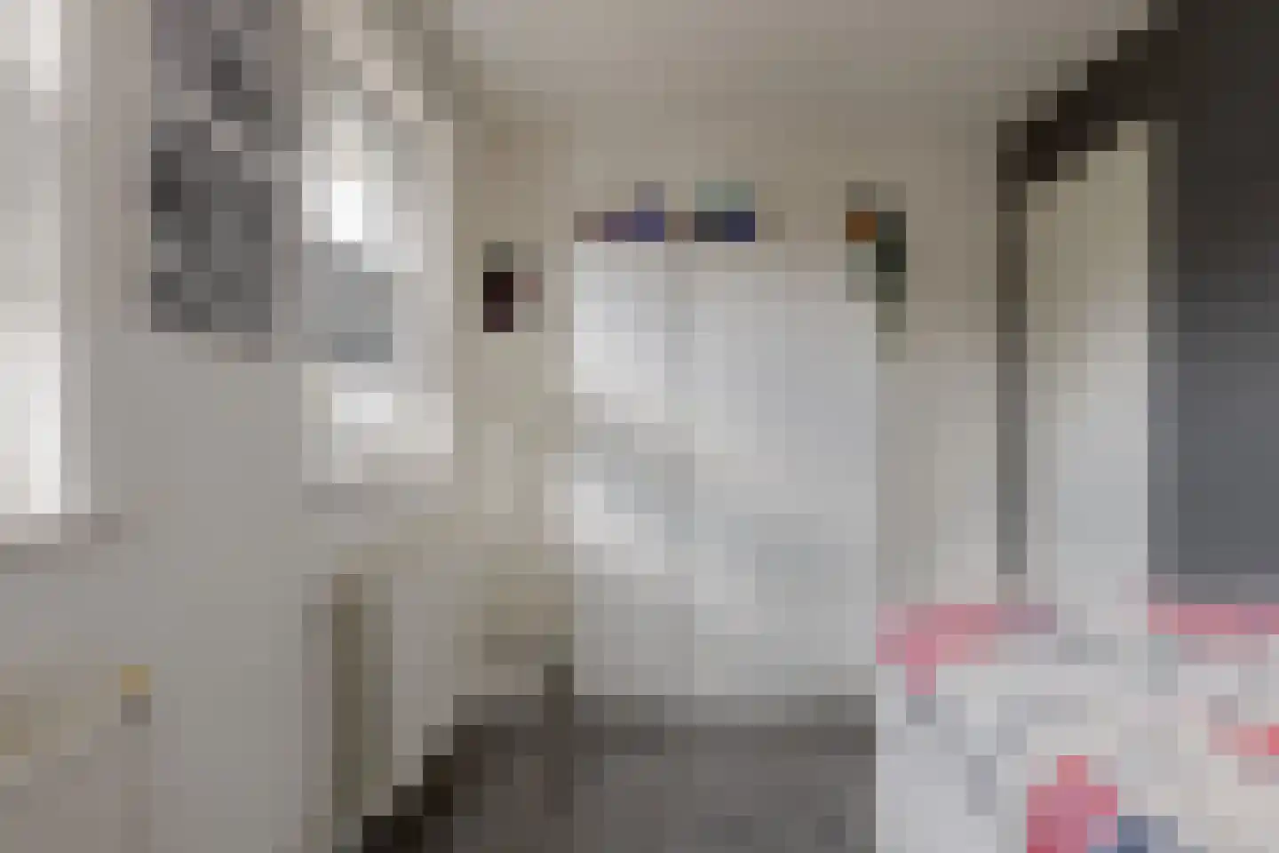 Larixlaan 18 Roden thumbnail 44
