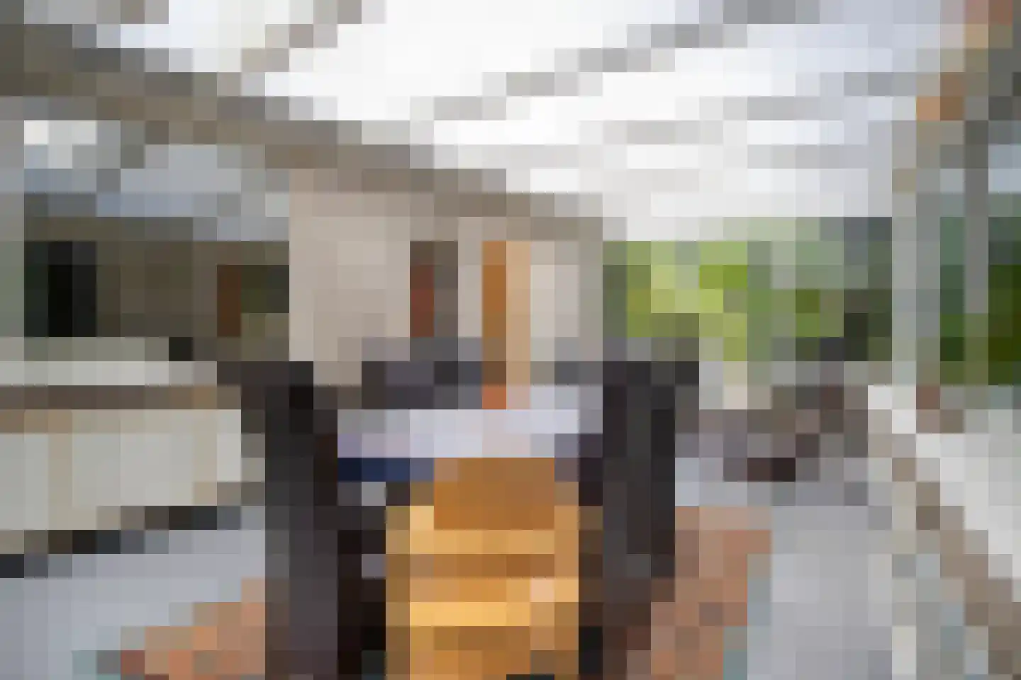 Larixlaan 2 A Ede thumbnail 21