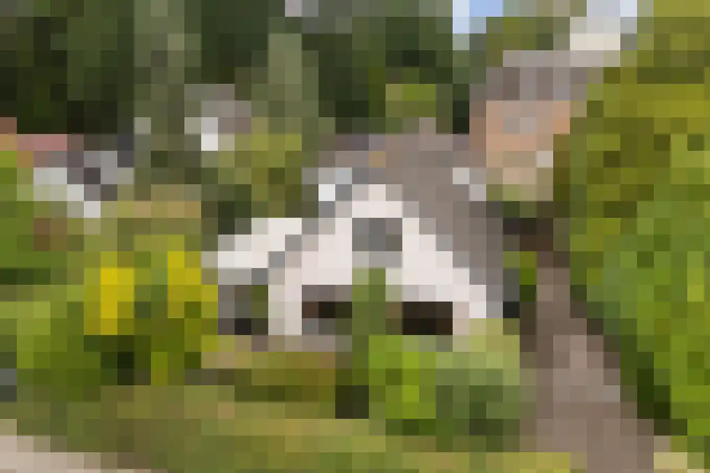 Larixlaan 2 A Ede thumbnail 5